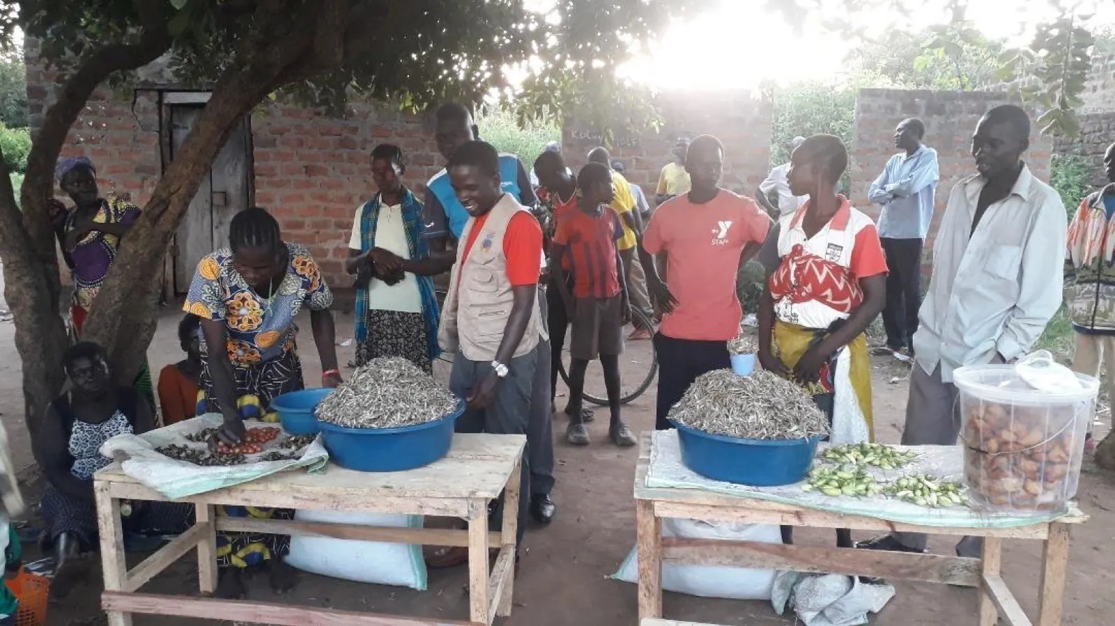 Market vending of produce by a women's livelihood group